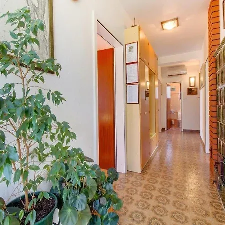 Blamax With Terrace And Sea View * Mali Losinj